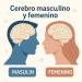 ¿Funcionan diferente los cerebros de hombres y mujeres? Esto dice la ciencia