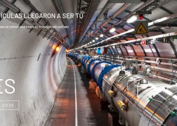 El Aleph 2025: redes que entrelazan arte, ciencia y sociedad