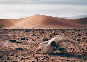 México enfrenta un calentamiento acelerado: su temperatura aumenta más rápido que el promedio global