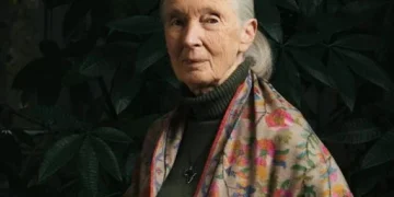Jane Goodall: legado, trayectoria y frases de la pionera en el estudio de los chimpancés y sensibilizó al mundo