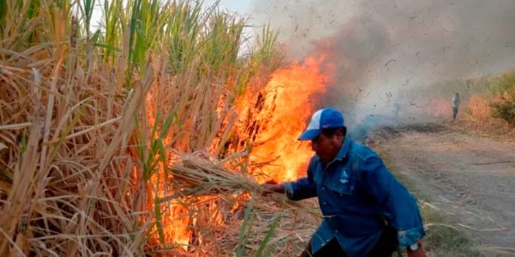 Morelos respira contaminación: ambientalistas señalan cuatro focos que preocupan en la región oriente