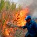 Morelos respira contaminación: ambientalistas señalan cuatro focos que preocupan en la región oriente